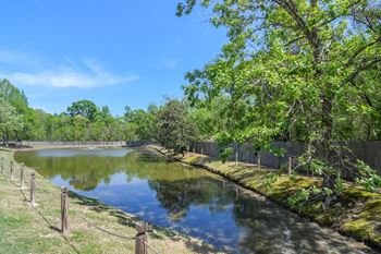 A pond with trees and a fence around it